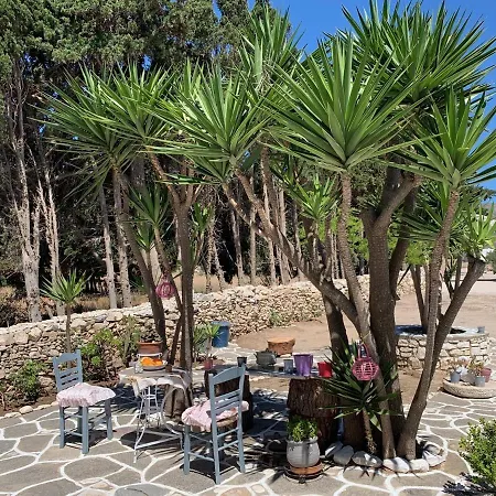 Kiki's Veranda Dream Chrisi Akti (Paros)