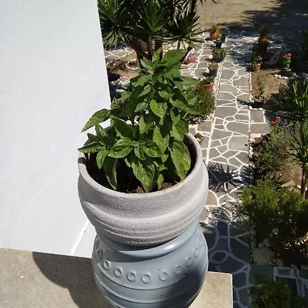Kiki's Veranda Dream * Chrisi Akti (Paros)